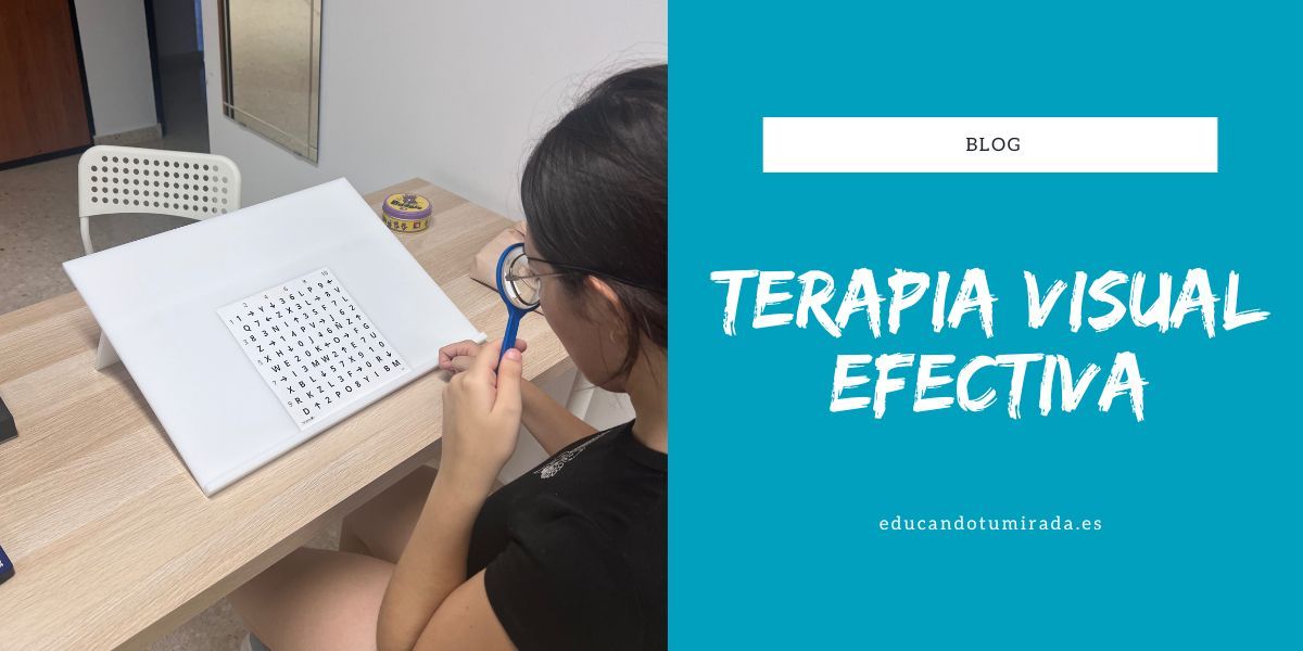 Terapia Visual Efectiva | Educando tu mirada