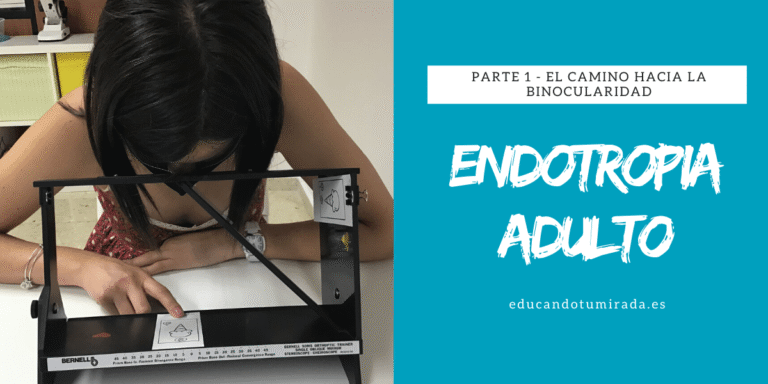 Endotropia Adulto | en Educando tu mirada