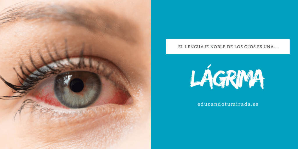 El lenguaje noble de los ojos es una lágrima | Blog | En Educando tu mirada
